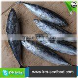 Carton or Woven Bag Packed Without Faure Marin China Manufacturer Bonito thumbnail-1