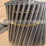 Galvanized Common Iron Nail