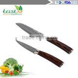 5pcs Japanese Damascus Steel 8 Inch Chef Knife Best Quality Japanese VG10 Super Steel 67 Layer High Carbon Stainless Steel-Raz thumbnail-6