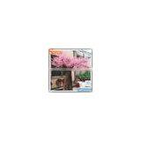 Hot Sale Artificial Flower Tree Artificial Cherry Blossom Tree New Product Wedding Decor Ornamental Trees and Plants thumbnail-1