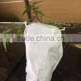 Cheap Grape Packing Cultivating Names of Branded Bags Brand Name Grapes thumbnail-4