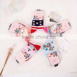 Cheap Price Baby Socks / Kids Socks / Children Socks Wholesale thumbnail-2