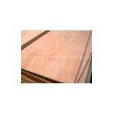 1250x2500mm Commerial Bintangor Plywood thumbnail-1