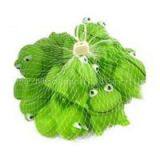 Rubber Toy Frog thumbnail-1