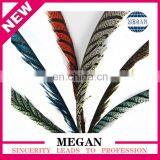Decorative Long Reeves Pheasant Feathers thumbnail-1