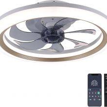 Low Profit Bedroom Ceiling Fan Light With Remote Controller thumbnail-5