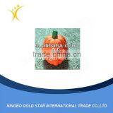 New Design Wholesale Good Quality Plastic Halloween Decoration Pumpkin/Plastic Decoration Pumpkin/inflatable Halloween Decoratio thumbnail-1