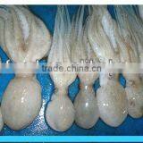 Fresh Frozen Baby Octopus thumbnail-1