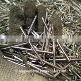 Common Nails Wire Nail thumbnail-6