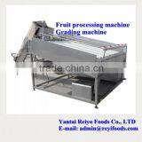 Cherry Grading Machine / Cherry/tomato Grading Machine thumbnail-3