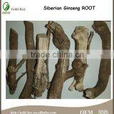 100% Natural Siberian Ginseng Extract,Siberian Ginseng Extract 0.8%/1.2% Eleutheroside B+E,0.8%/1.2% Eleutheroside B+E' thumbnail-2