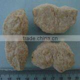 Soya Protein Extrusion Machine