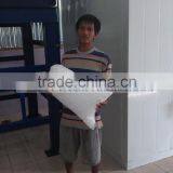 Compact Design 15 Ton Ice Tube Machines Manufacturer For Sale thumbnail-6