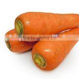 Hot Sell IQF Frozen Carrot Price Frozen Diced Carrot thumbnail-4