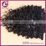 Deep Wave Clip In Human Hair Extensions 100g Full Head Brazilian Virgin Human Hair Clips Ins Extension African American thumbnail-3