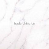 Competiitve S-8806 Microlite