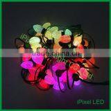 26mm DIP Ws2811reen Color Wire DC12v Point Pixel