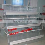 H type best price poultry farm egg layer chicken cages (lydia : 0086-15965977837)