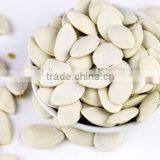Snow White Pumpkin Seeds , Pumpkin Seeds in Shell thumbnail-4