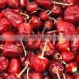 Round Red Chilles thumbnail-1