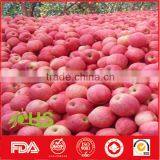 Wholesale Price of Fuji Apples From China thumbnail-3