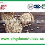 Big Size Salted Roasted Peanut Kernel With High Quality thumbnail-6