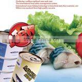 Certificated Canned Mackerel in Brine thumbnail-6
