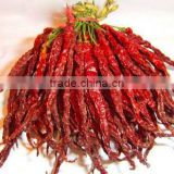 Hand select pimento chili red pepper
