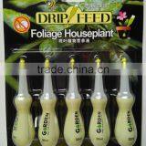 Drip Feed Foliage Houseplant