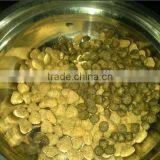 Pellet Food Machine thumbnail-4