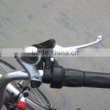 250W Rear Motor,36V10A Lithium Battery,Sinwave Controller,LED Display CE Woman Electric Bicycle/bike thumbnail-2