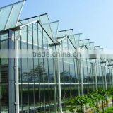 High Quality Glass Commercial Greenhouse in Steel Structure thumbnail-4