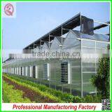 Commercial/agricultural Large Span Glass Green House for Strawberry/tomatoes thumbnail-2