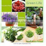 High Quality 10W Led Clip Grow Light Hydroponict Are Hot-selling for Factory Buttom Price in 2017 thumbnail-4