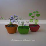 Biodegradable Bamboo Fiber Mini Flower Pot thumbnail-3