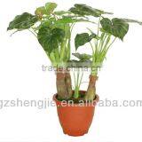 GuangZhou SJ artificial plant for home decoration