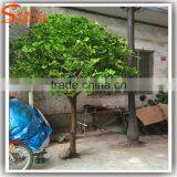 Competitive Price Artificial Ficus Tree Fake Artificial Trees for Sale Garden Ornamental Plants and Trees thumbnail-1