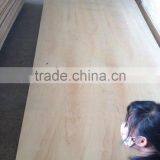 PACKING PLYWOOD , BC GRADE- CHEAP PRICE (3mm-18mm) thumbnail-1