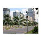 Three Phase AC Maglev Wind Generator Solar And Wind Powered Street Lights