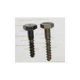 Screw Spike thumbnail-2