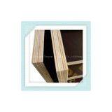 GIGA 18mm Waterproof Faced Plywood Sheet thumbnail-2