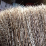 Horse Root Tail Hair