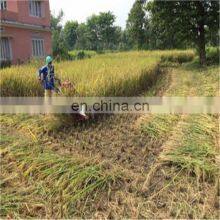 Mini Agricultural Machinery Price Reaper Head Cutter Machine Parts Raper Head for Tractor thumbnail-3
