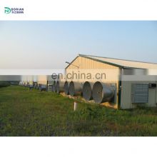 small automatic farm poultry house sheds chicken farm  for eggs