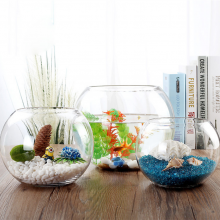 Ecological Turtle Cylinder Aquarium Glass Fish Tank Vase Air Plants Sand and Pebbles Small Glass Terrariums For Plants thumbnail-1