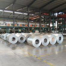Galvanized steel coil (7)