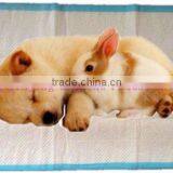 Disposable Pet Training Pad, Pet Pee Pad thumbnail-1