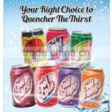 Carbonated Drink - Cola 325ml thumbnail-2