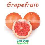 2016 Hot Sale Fresh Grapefruit thumbnail-3