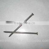 Common Iron Wire Nail/Round Nail With Factory Price
